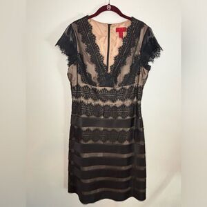 JS collections EUC beige/blackl lace overlay short sleeve midi dress Size 14